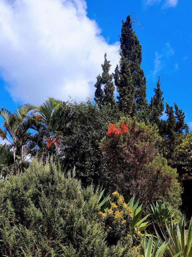 فندق Casa Ranxoxita Itaipava المظهر الخارجي الصورة