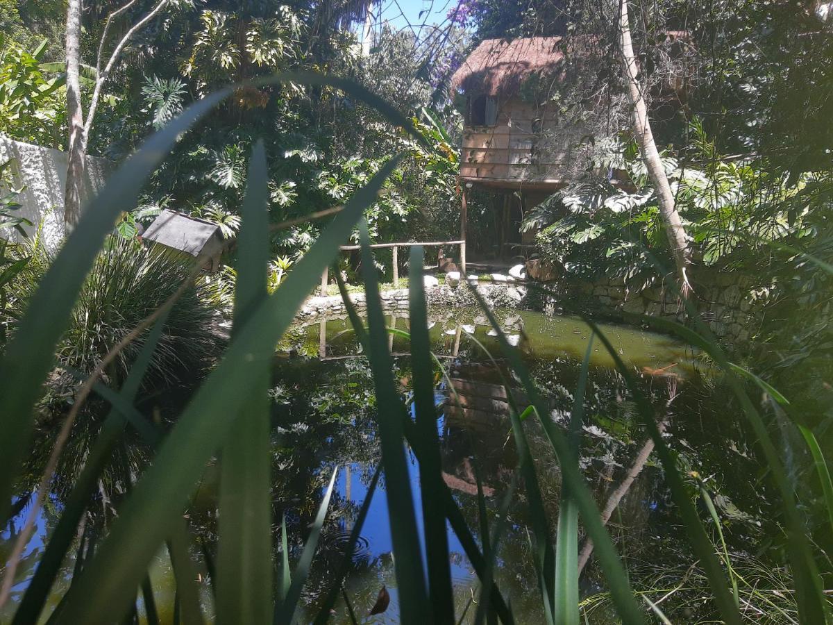 فندق Casa Ranxoxita Itaipava المظهر الخارجي الصورة