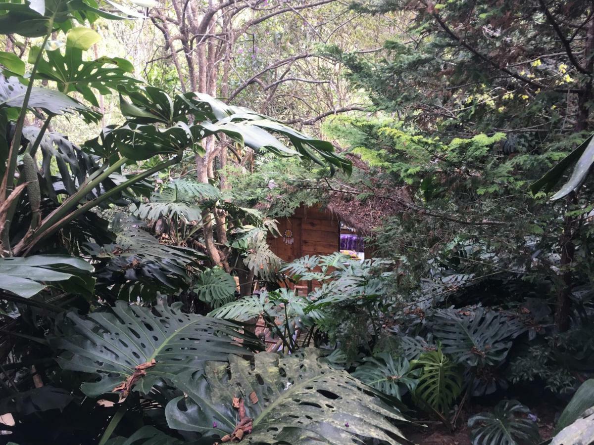 فندق Casa Ranxoxita Itaipava المظهر الخارجي الصورة