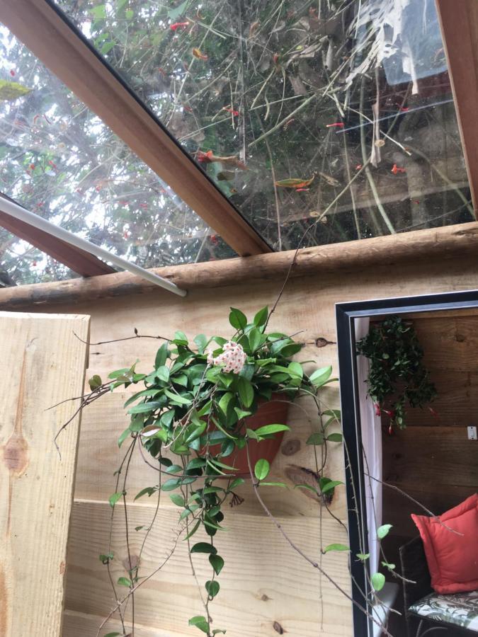 فندق Casa Ranxoxita Itaipava المظهر الخارجي الصورة